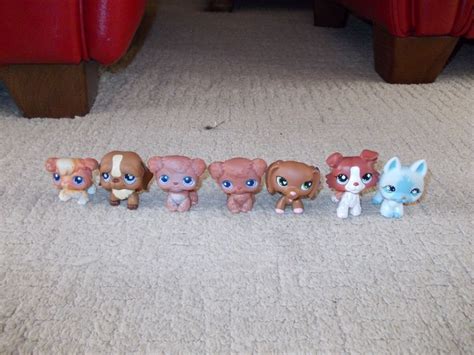 These Are All Of My Littlest Pet Shop Dogs Littlest Pet Shop Pet