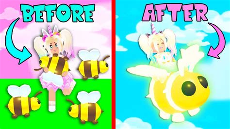 Look for the twitter button located on the right side of the click. Roblox Adopt Me Queen Bee Pet Set Up | Robux Generator ...