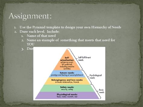 Stages Of Development And Personality Erikson And Maslow