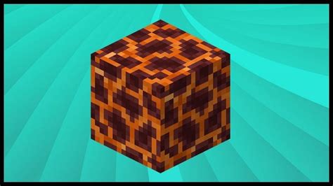 Which Is The Best Level To Find Magma Blocks In Minecraft 118