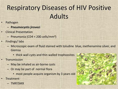 ppt clinical aspects of hiv powerpoint presentation free download