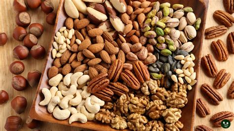Types Of Nuts A Comprehensive Guide To Varieties And Uses