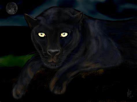 Black Panther Night Digital Art By Mathieu Lalonde