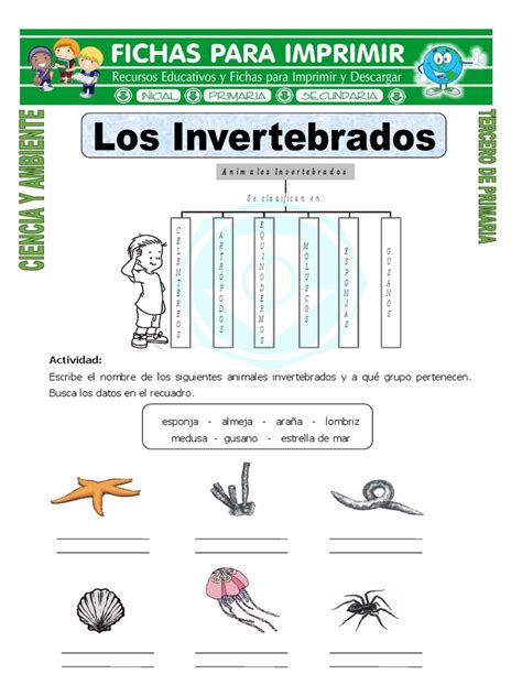 Ficha De Los Invertebrados Para Tercero De Primaria Pdf