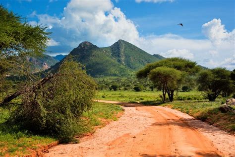 Tsavo National Park Bezienswaardigheden Kenia