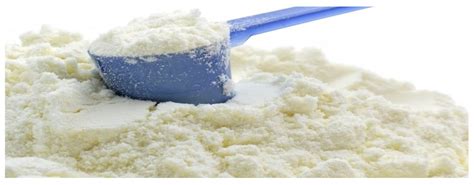 Powdered Milk Gtplaza Inc
