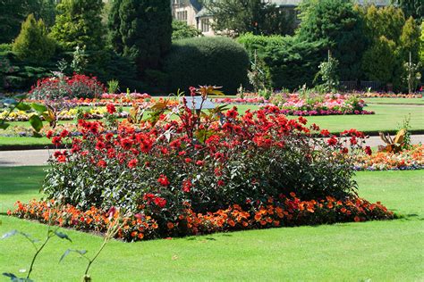 Check spelling or type a new query. Gardens of East Anglia, England - Self-Guided Day Trip ...