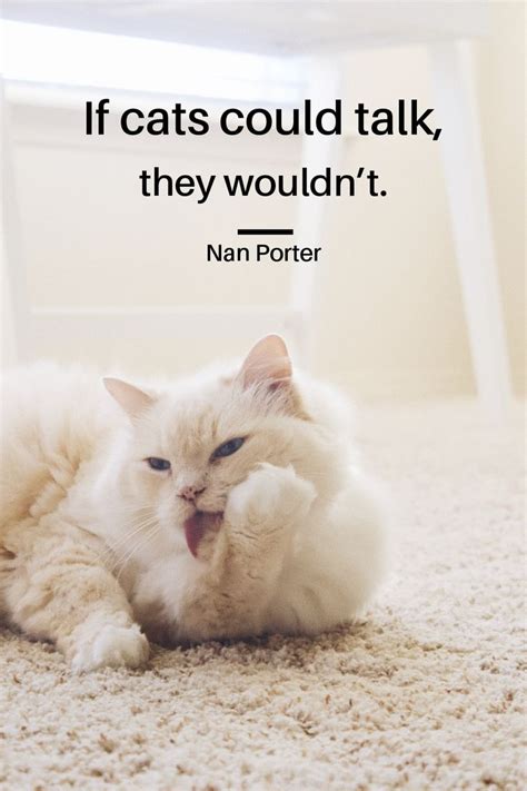 If Cats Could Talknan Porterthey Wouldnt Cats Cat Love Quotes Cat