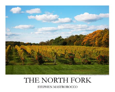 The North Fork Winery Long Island Photography
