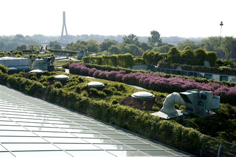 We did not find results for: Warsaw University Library - Greenroofs.com