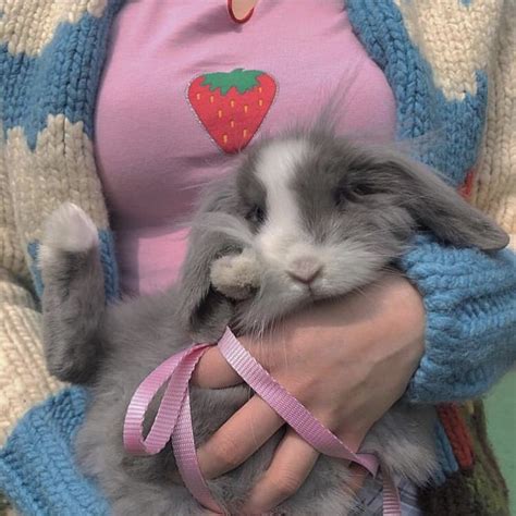 Aesthetic Bunny Rabbit Cute Little Animals Cute Baby Animals Cute