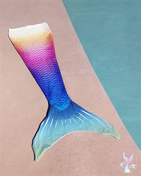 Rainbow Mermaid Tail Ubicaciondepersonascdmxgobmx