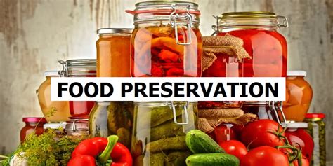 We did not find results for: Food Preservation - Baromishal