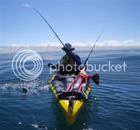 Australian Kayak Fishing Forum View Topic Qld Noosa Yakkers 20dec
