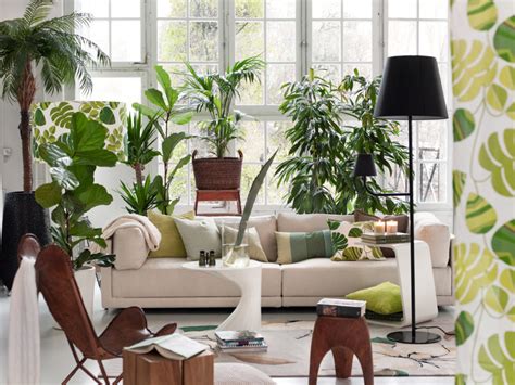 An Oasis Of Indoor Plants Colorfully Behr