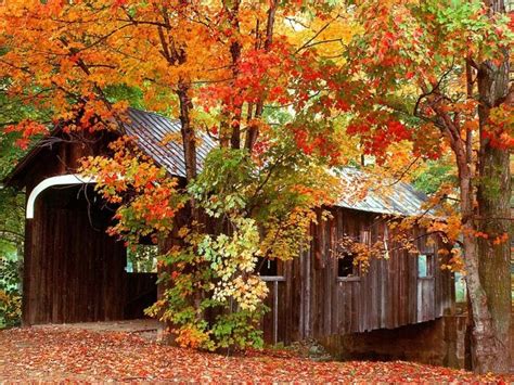 36 Autumn Covered Bridge Wallpapers Wallpapersafari