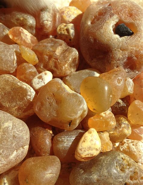 Agates from Gleneden Beach, Oregon Coast 5 miles south of Lincoln City