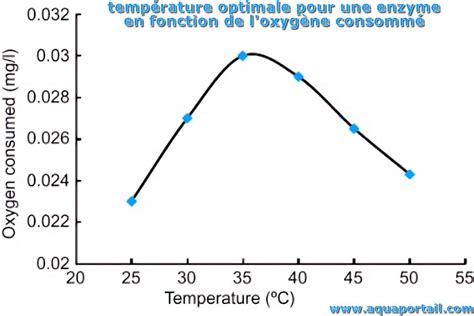 Température Optimale Définition Illustrée Et Explications