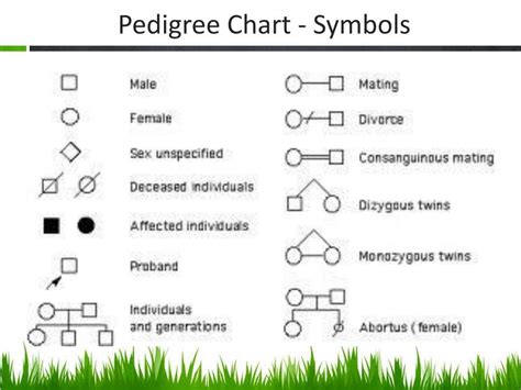 Pedigree Chart Definition Interpretation Symbols Significances Sexiz Pix