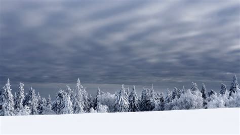 Wallpaper Nature Winter Landscape Trees Sky Cold Snow Outdoors