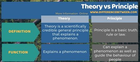 Difference Between Theory And Principle Compare The Difference