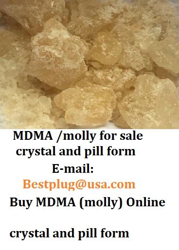 Task 835731 Mdma Molly Crystal And Pill Form E Mail Bestplug Testcreditsystem