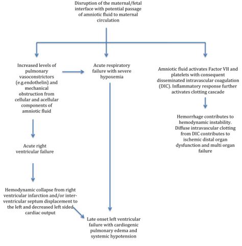 amniotic fluid embolism diagnosis and management obgyn key