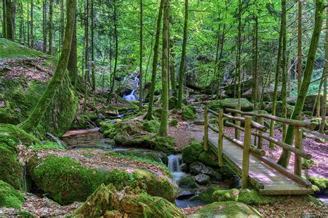 Wild Romantic Hiking Trail Along Famous Gertelbach Waterfalls