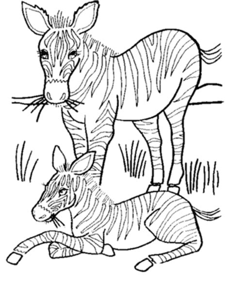 Wild Animal Coloring Page Mother And Baby Zebra Coloring Page