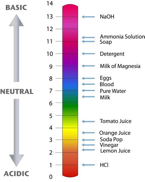 39 Best Images About Ph Scale On Pinterest Biology Alkaline Foods