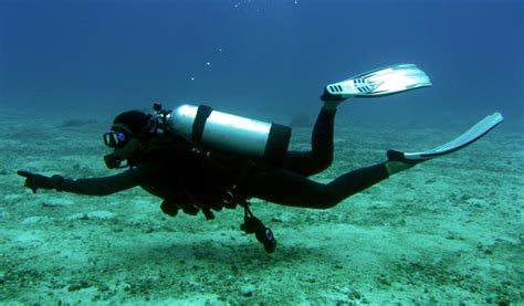 19 Reasons Why Scuba Diving Is Magical Scuba Diving Buzz