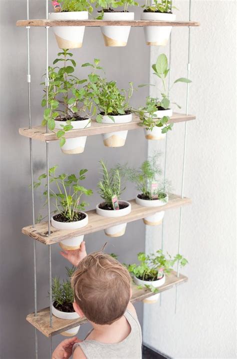 Ideas For A Stylish Indoor Kitchen Herb Garden New