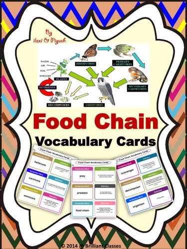 Food Chain Vocabulary Cards A Tool To Enrich The Vocab Teaching