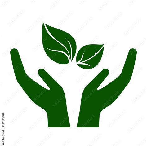 Vecteur Stock Icon Of Hands Carefully Holding Green Leaves Symbol Of