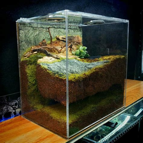 Fossorial Enclosure Terrarium Reptile Aquarium Terrarium Aquascape