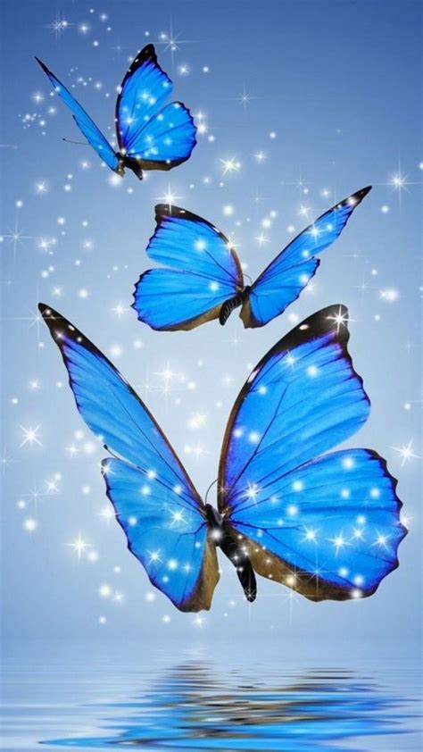Blue Butterfly Wallpaper For Phone 1080x1920 Blue Butterfly Wallpaper