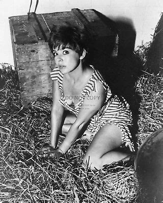 JANET MUNRO IN THE DAY THE EARTH CAUGHT FIRE 8X10 PUBLICITY PHOTO