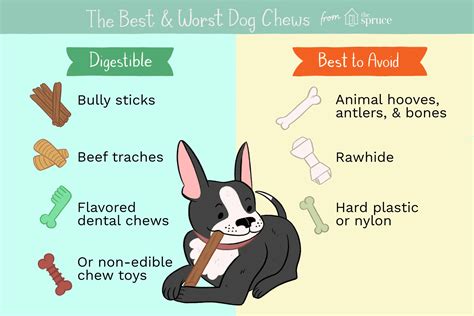How To Choose The Best Dog Chews