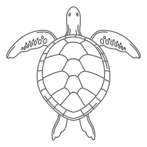 Image result for sea turtle | Turtle crafts, Sea turtle, Turtle