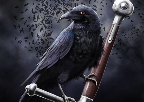Download 1080x1920 Crow Raven Dark Theme Sword Wallpapers For Iphone