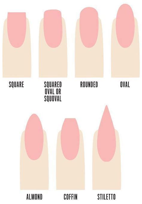 types of nails shapes different types of nails types of fake nails nail tip shapes manicure