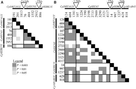 Pdf Contrasting Patterns Of Xy Polymorphism Distinguish Carica Papaya From Other Sex