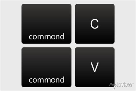 Copy Paste Button Control Ctrl C V Vector Illustration Posters For The