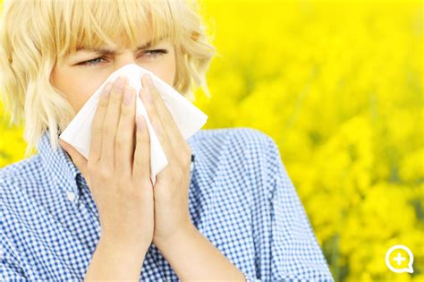 Cómo Combatir La Alergia Al Polen El Enemigo De 8 Millones De Personas