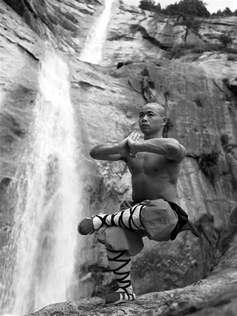 Indian martial arts martial arts styles mixed martial arts qi gong tai chi cochin marshal arts shaolin kung fu art of fighting. 40 Peaceful And Solid Shaolin Monk Martial Art ...