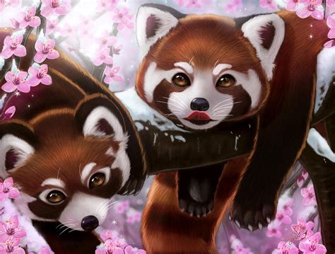 Red Pandas By Dyewind On Deviantart