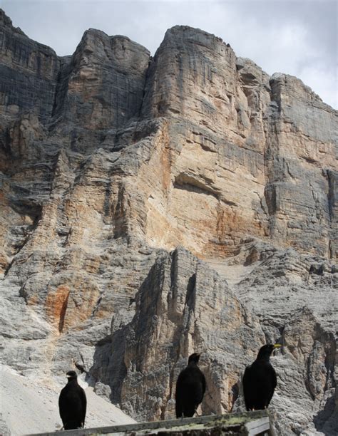 History Of Geology The Dolomite Mountains And The Dolomite Problem