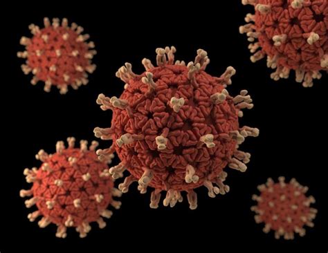 Rotaviruses are the most common cause of diarrhoeal disease among infants and young children. Rotavirus Infection Can be Prevented or Cured by a Gut ...
