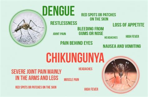 Dangerous Diseases Caused By Mosquito Bite Medonlinepk