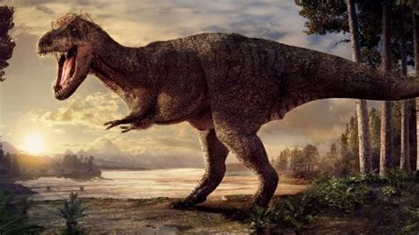 How Did Dinosaurs Extinct Youtube